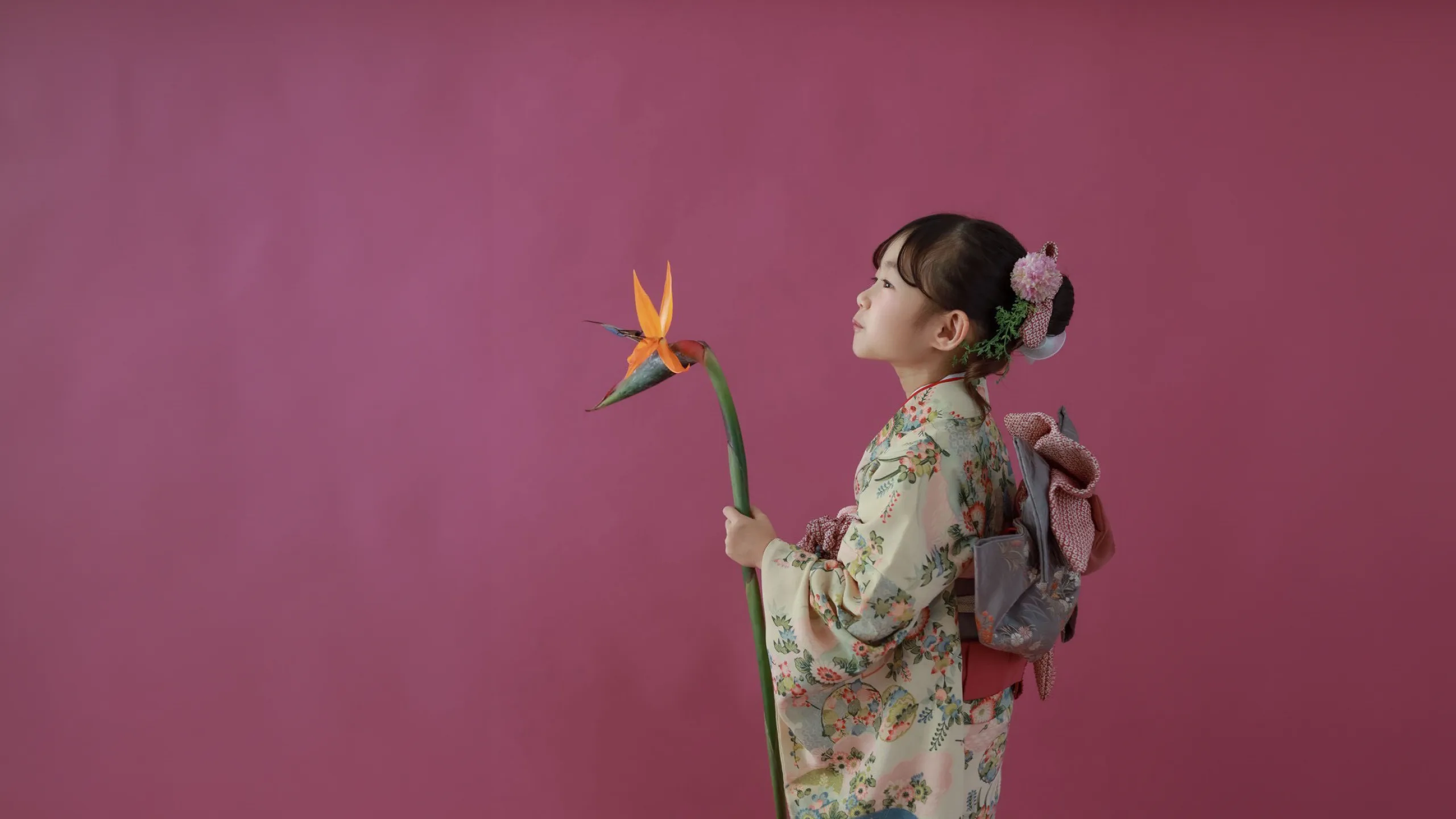 着物姿で花を手にする女の子